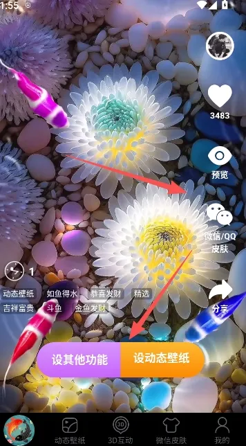 锦鲤金鱼壁纸2026官方最新版本 锦鲤金鱼壁纸2026官方最新版本