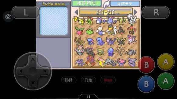 �ڴ������εĹ��(�ڴ������εĹ��)