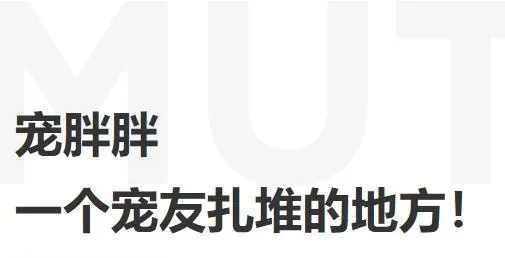 ������(�������ƽ̨)