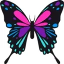 �����Ǻ�����2026�ٷ�����