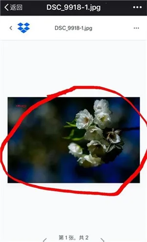 dropbox��׿���ֻ���