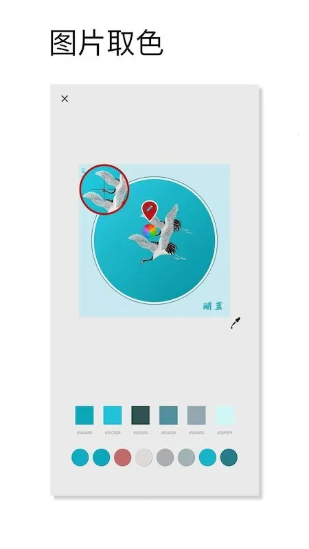 ��ɫ��ɫ2026���°汾v1.062 �ٷ������ͼ