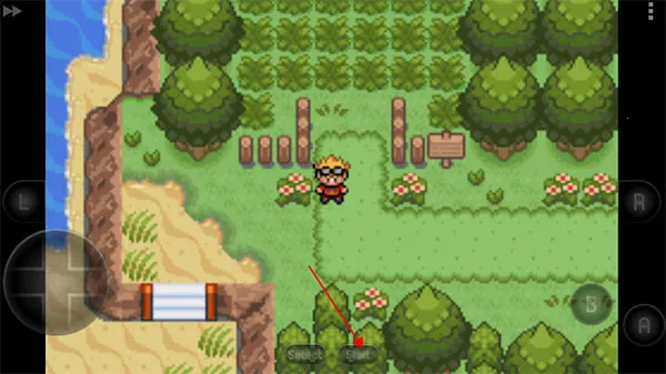 �ڴ��������뱦������