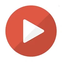 xinplayer(��ý�岥������)