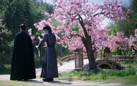 小熊影视2026官方最新版本 小熊影视2026官方最新版本