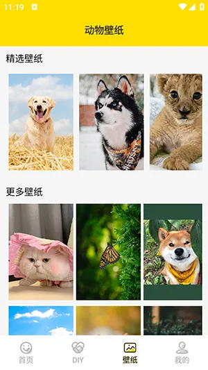 ���ӱ����2026�ٷ����°汾v1.5 ��Ѱ��ͼ