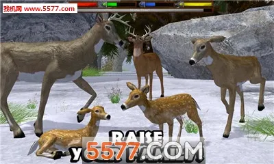 ForestSim2026���°汾v1.2 ��Ѱ��ͼ