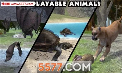 ForestSim2026���°汾v1.2 ��Ѱ��ͼ