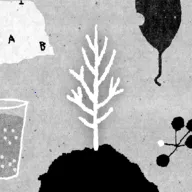 �����������ֻ���