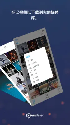 realplayer������v1.0 ��Ѱ��ͼ