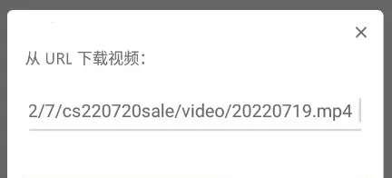 realplayer������