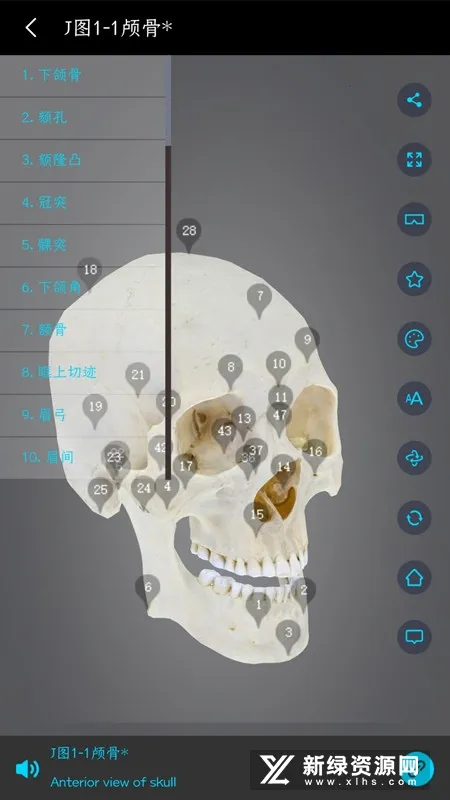 ҽά�Ƚ���2026���ذ�װv3.3.20 ��Ѱ��ͼ