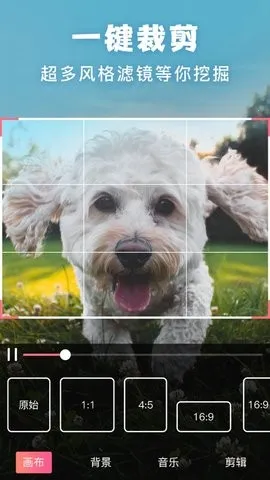����picsart��Ƭ�༭��׿���ֻ���v19.8.63 ��Ѱ��ͼ