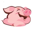 �����������ֻ���