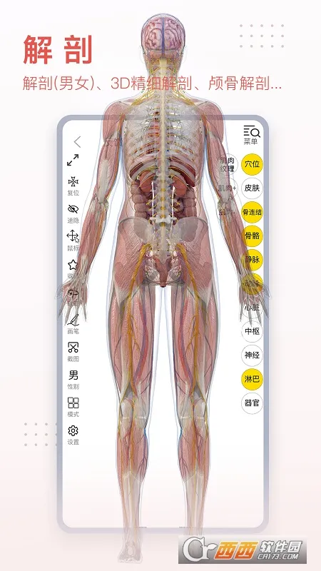 3dbody�������İ�v8.8.91 �ֻ����ͼ
