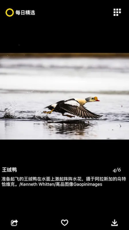 ÿ�վ�ѡ�����ֻ���v3.0.7 �ֻ����ͼ