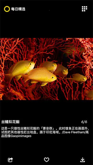 每日精选最新手机版 每日精选最新手机版