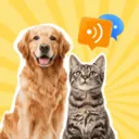 è�����﷭����2026�ٷ�����