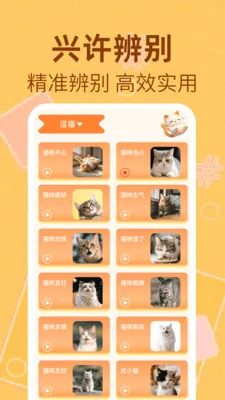 è�����﷭����2026�ٷ�����v1.0.2 �ֻ����ͼ