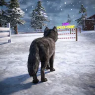 ��ģ���� 3D2026�ٷ����°汾