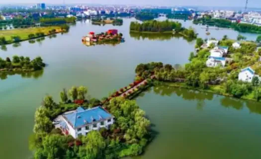 �������(�������APP)