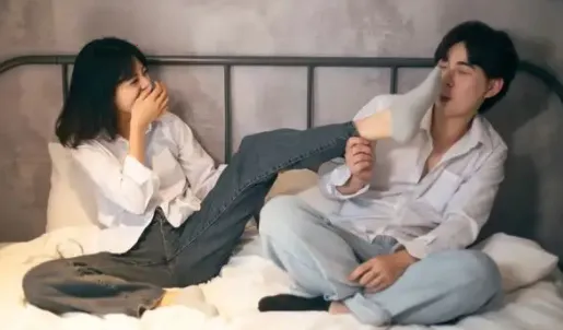 ��������2026���°汾