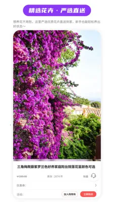 ��Ũ�ռ������ֻ���v1.1.4 �ٷ������ͼ