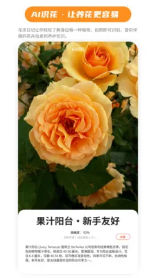 ��Ũ�ռ������ֻ���v1.1.4 �ٷ������ͼ