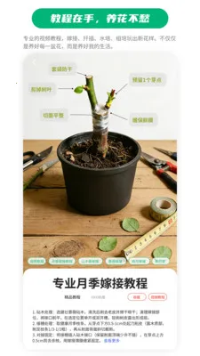 ��Ũ�ռ������ֻ���v1.1.4 �ٷ������ͼ