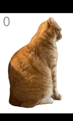 ��è��ë�����ֻ���v1.0 �ٷ������ͼ