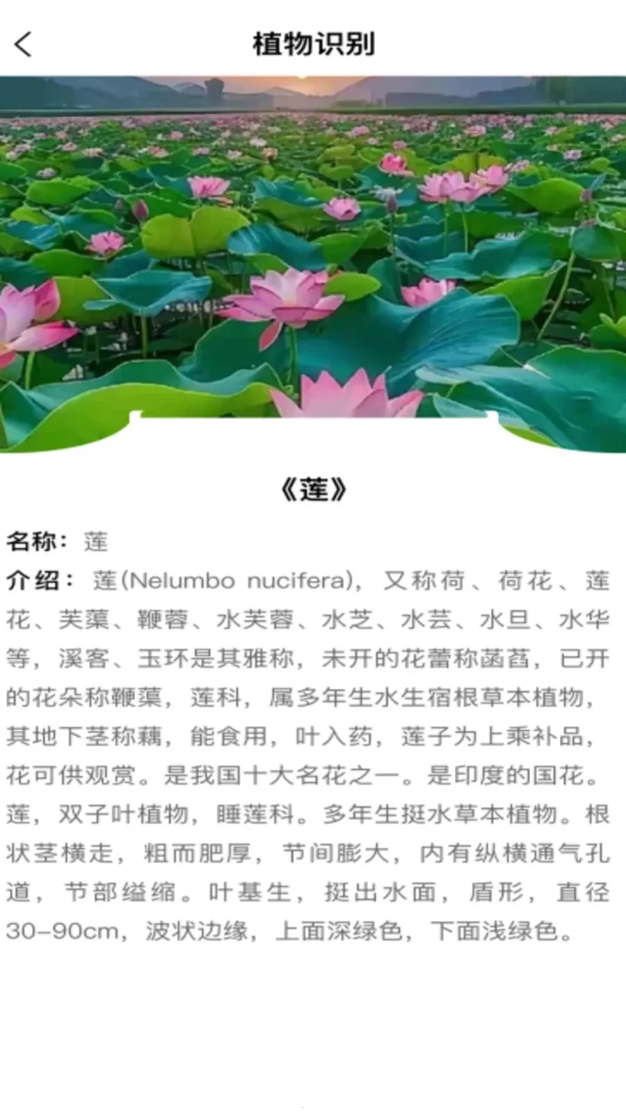 ȫ�ܵ���ɨ����(ȫ�ܰ칫����)v1.0.0 �ֻ����ͼ