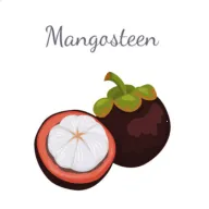 ɽ������2026�ٷ����°汾