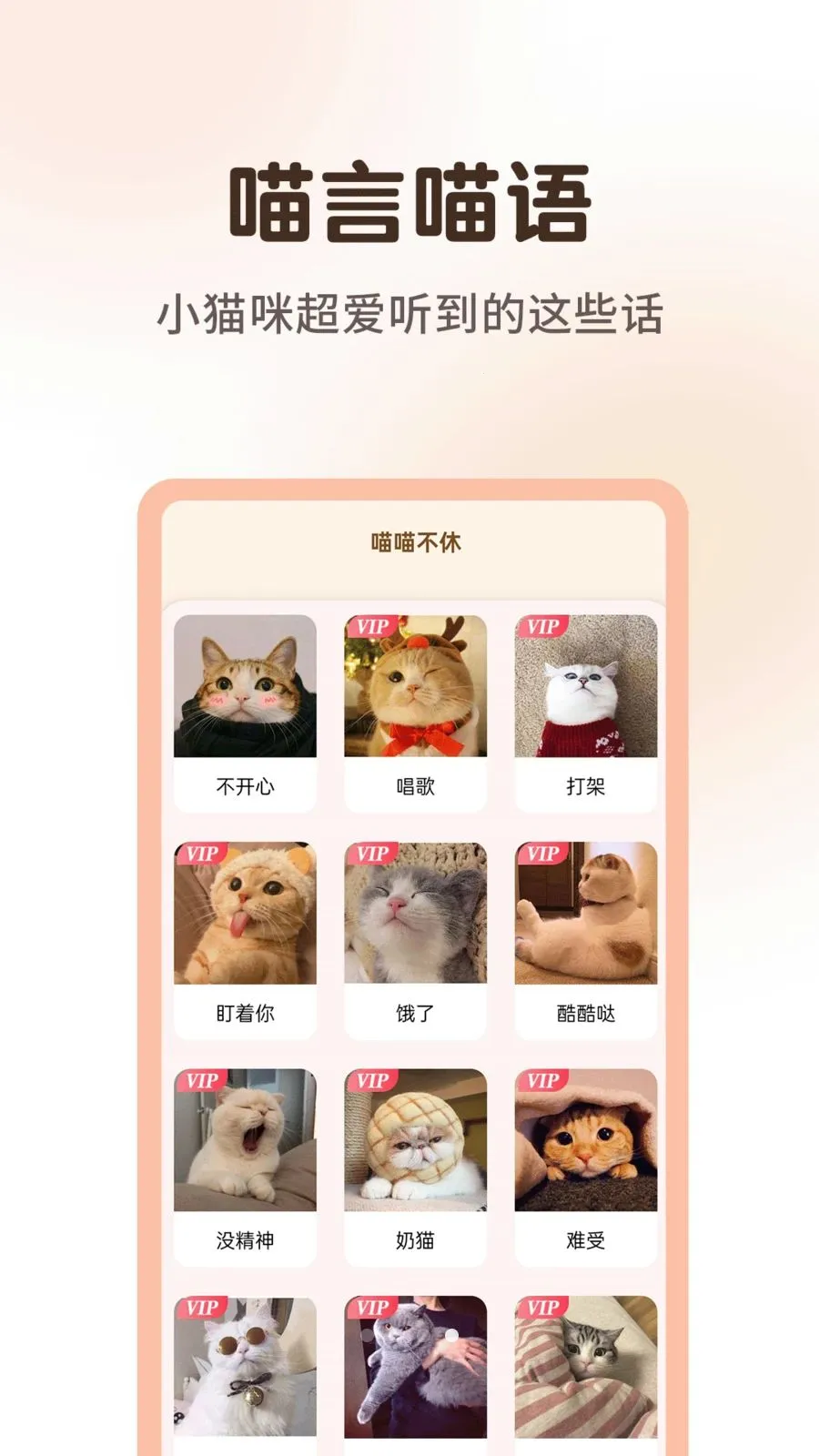 ����è�����﷭����2026�ٷ����°汾v1.0.3 ��׿���ͼ