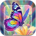 ��Ϳ��ֽ(��ֽ����)v1.3.0 ��׿��