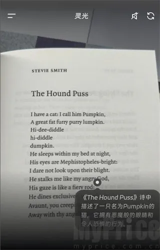 ���AI��������