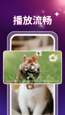 ˽��ӰƬ������(��Ƶ����APP)v1.0.2 ��Ѱ��ͼ