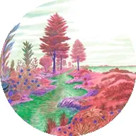 Zoomquilt2026���°汾