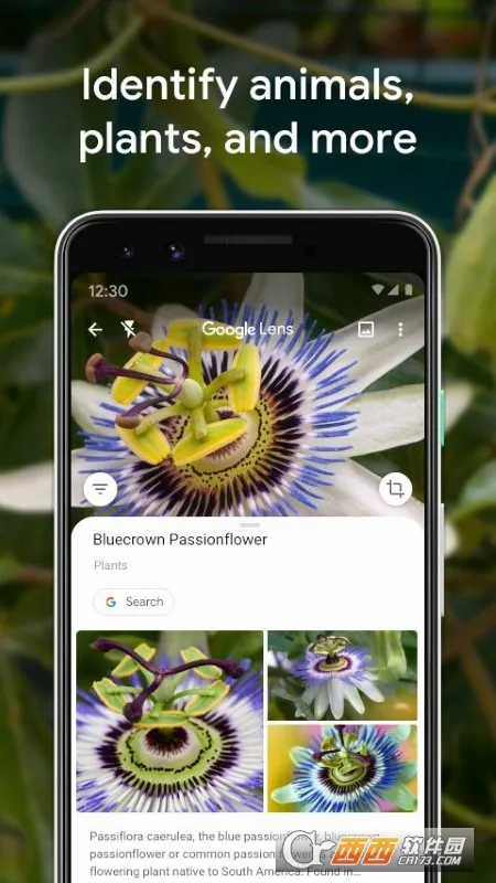 Google ���ܾ�ͷ(��������ʶ�𹤾�)v1.18.250731009 �ֻ����ͼ