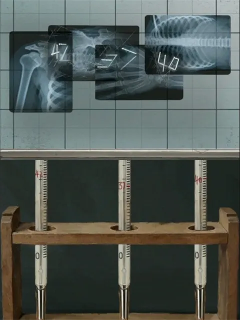 ����2026���°汾