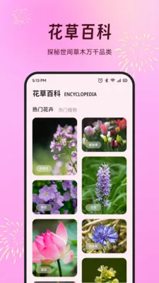 ���׻���(��������ƽ̨)v1.1 �ٷ������ͼ