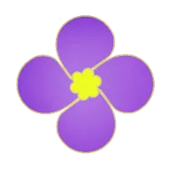 �Ͻ����Ƶ2026�ٷ����°汾