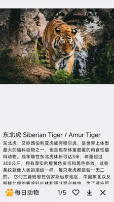 ÿ�ն���2026���°汾v1.0.0 ��Ѱ��ͼ