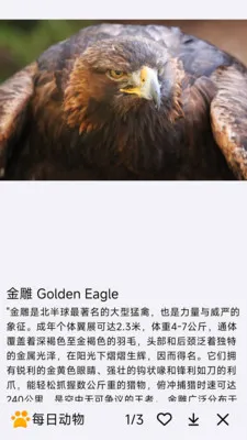 ÿ�ն���2026���°汾v1.0.0 ��Ѱ��ͼ