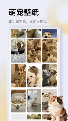 ����è��app(è��һվʽƽ̨)v1.1 �ٷ������ͼ