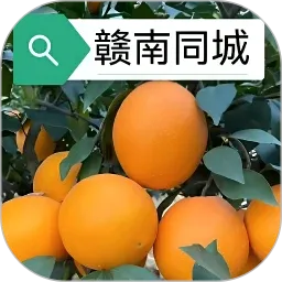 ����ͬ��2026�ٷ����°汾