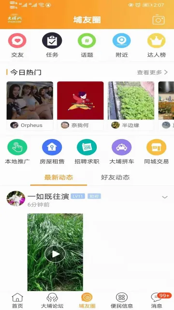 大埔网安卓版手机版 大埔网安卓版手机版