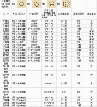动物餐厅安卓版手机版 动物餐厅安卓版手机版