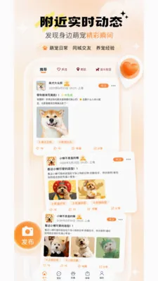 ���������������(�������Ӧ��)v1.0.2 �ֻ����ͼ