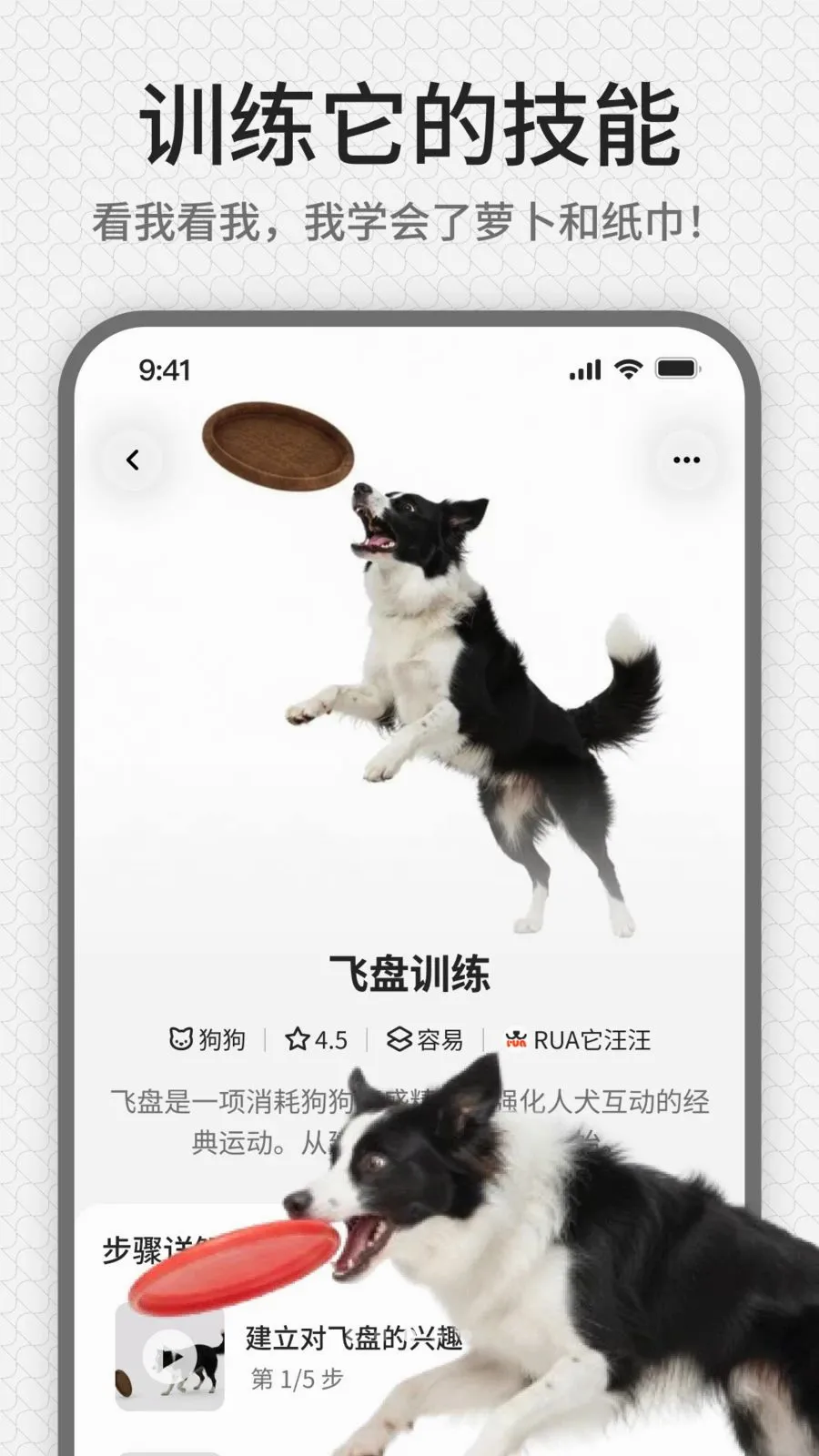 rua��(����ѵ��ƽ̨)v1.0.1 ��׿���ͼ