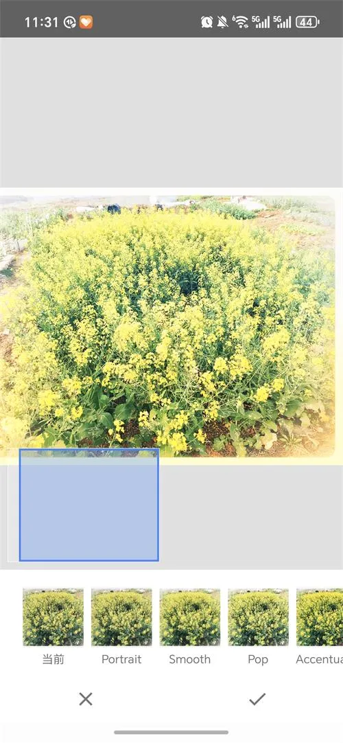 BetterSeed2026�ٷ����°汾v2.22.0.633363672 �ٷ������ͼ